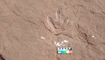 Sem preservação, sítios paleontológicos nas regiões de Cajazeiras e Sousa sofrem com vandalismos