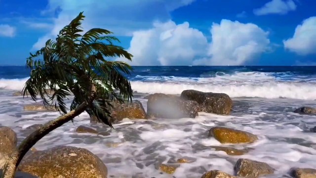 Ocean Waves Relaxing Music : Meditation, Relax, Yoga, Stress relief, Calming, Sleeping Music by Amcas Relax Music