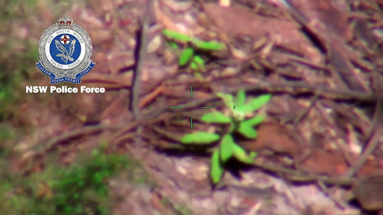 3-year-old found alive after 3 days in Australian bush