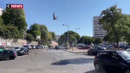 Des policiers agressés à Marseille dans la libération de force d'un individu interpellé