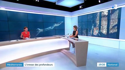 Méditerranée : Alice Modolo, championne du monde d’apnée