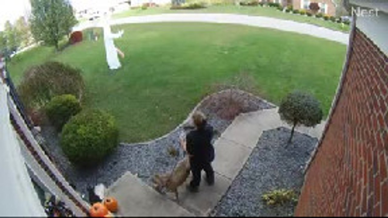Inflatable Ghost Gains Extra Appendage