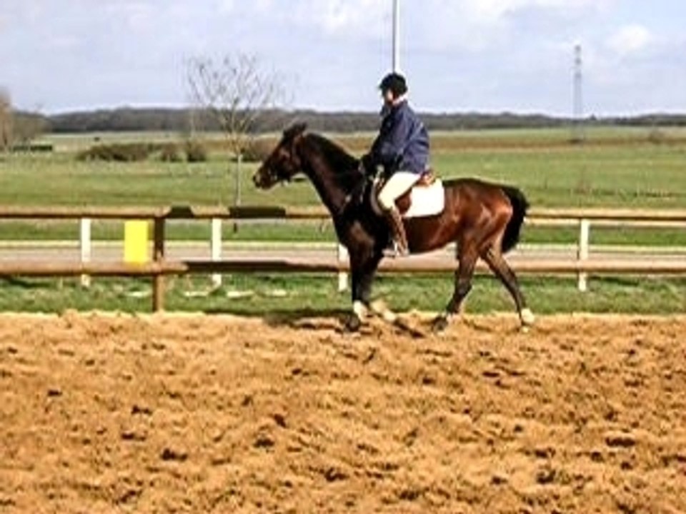 je tente le trot