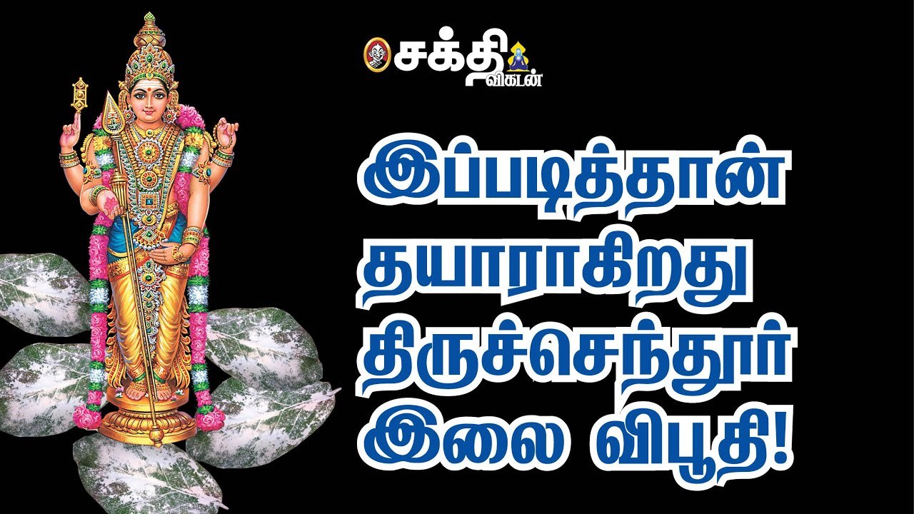 Tiruchendur | முருகனின் பன்னிரு கரங்களால் வாங்குவதுபோன்ற சாந்நித்யம் | நோய் நீக்கும் இலை விபூதி
