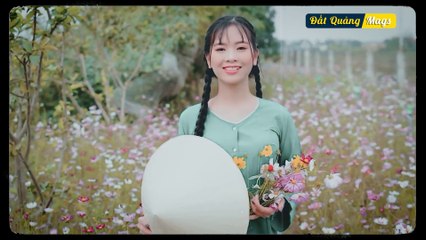 NHẠC HÒA TẤU KHÔNG LỜI BALLAD NHẸ NHÀNG THƯ GIẢN