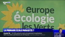 La primaire des écologistes parasitée par d'autres partis politiques pour fausser le résultat ?