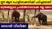 Elephant Operates Hand Pump on Own to Drink Water | Oneindia Malayalam