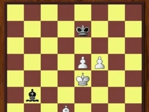 Les Finales de Fous couleurs opposees