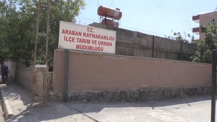 GAZİANTEP - Hayvancılığı geliştirmek için meralar aydınlatılıyor