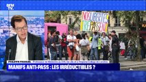 Manifs anti-pass : les irréductibles ? - 04/09