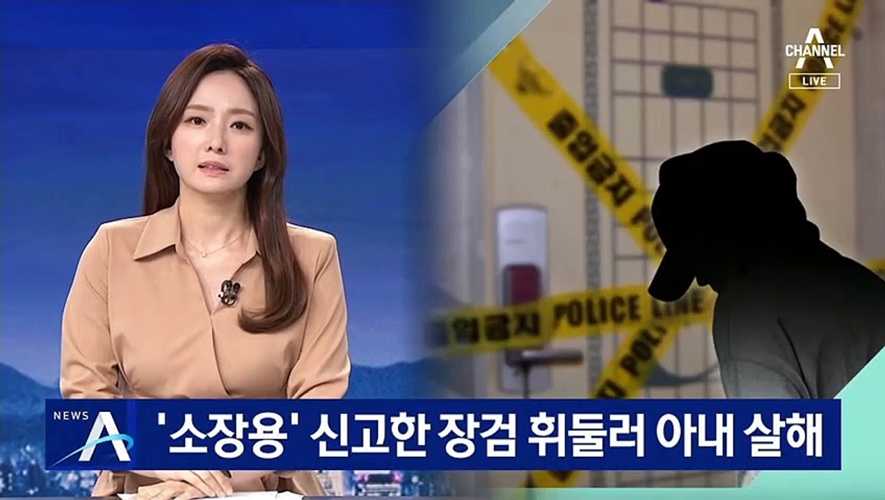‘소장용’으로 신고한 장검 휘둘러 아내 살해한 40대