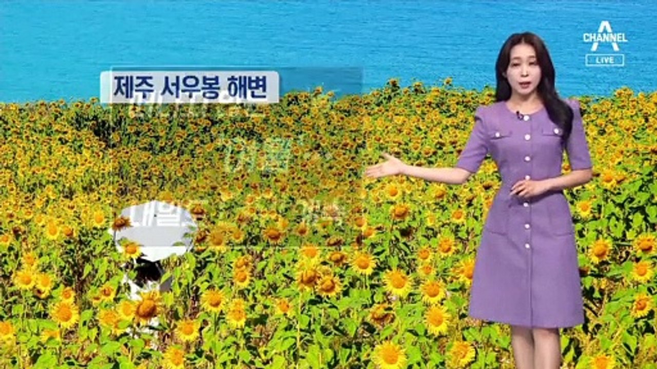 [날씨]일요일 낮더위 계속…강한 자외선 유의