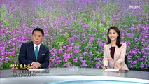 9월 4일 MBN 종합뉴스 클로징