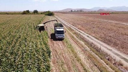 KARAMAN'DA TARIMSAL DESTEKLE ALINAN BİÇERDÖVERLE MISIR HASADI