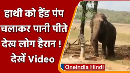 Thirsty Elephant ने बताया पानी का महत्व, Hand Pump चलाकर बुझाई अपनी प्यास | वनइंडिया हिंदी