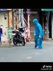 Nhân viên chống dịch trêu cún bị đuổi