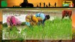 अब उत्तर प्रदेश (UttarPradesh) में चलेगी किसान रेल (Kisan Rail), किसान कम किराए पर देश के दूसरे हिस्सों में भेज सकेंगे फसल | Kisan Bulletin | Green TV