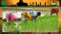 अब उत्तर प्रदेश (UttarPradesh) में चलेगी किसान रेल (Kisan Rail), किसान कम किराए पर देश के दूसरे हिस्सों में भेज सकेंगे फसल | Kisan Bulletin | Green TV