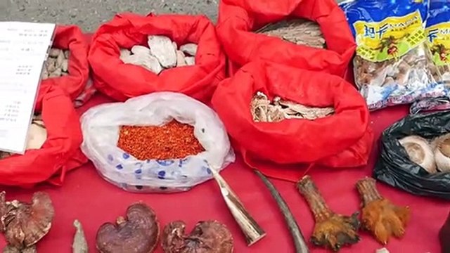 Chinese Street Food - Live Scorpions, Insects, Tiger Claws China