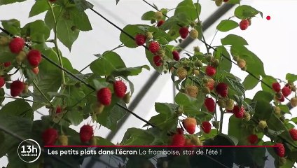 Les petits plats dans l’écran : la framboise, star de l’été