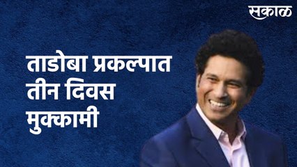 Chandrapur : मास्टर ब्लास्टर तेंडूलकर ताडोबा प्रकल्पात तीन दिवस मुक्कामी