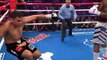 Yordenis Ugas vs. Omar Figueroa highlights