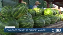 SNAP program doubles food stamp dollars at farmers markets