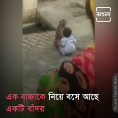Monkey Snatched A Baby And Then Refused To Give Back