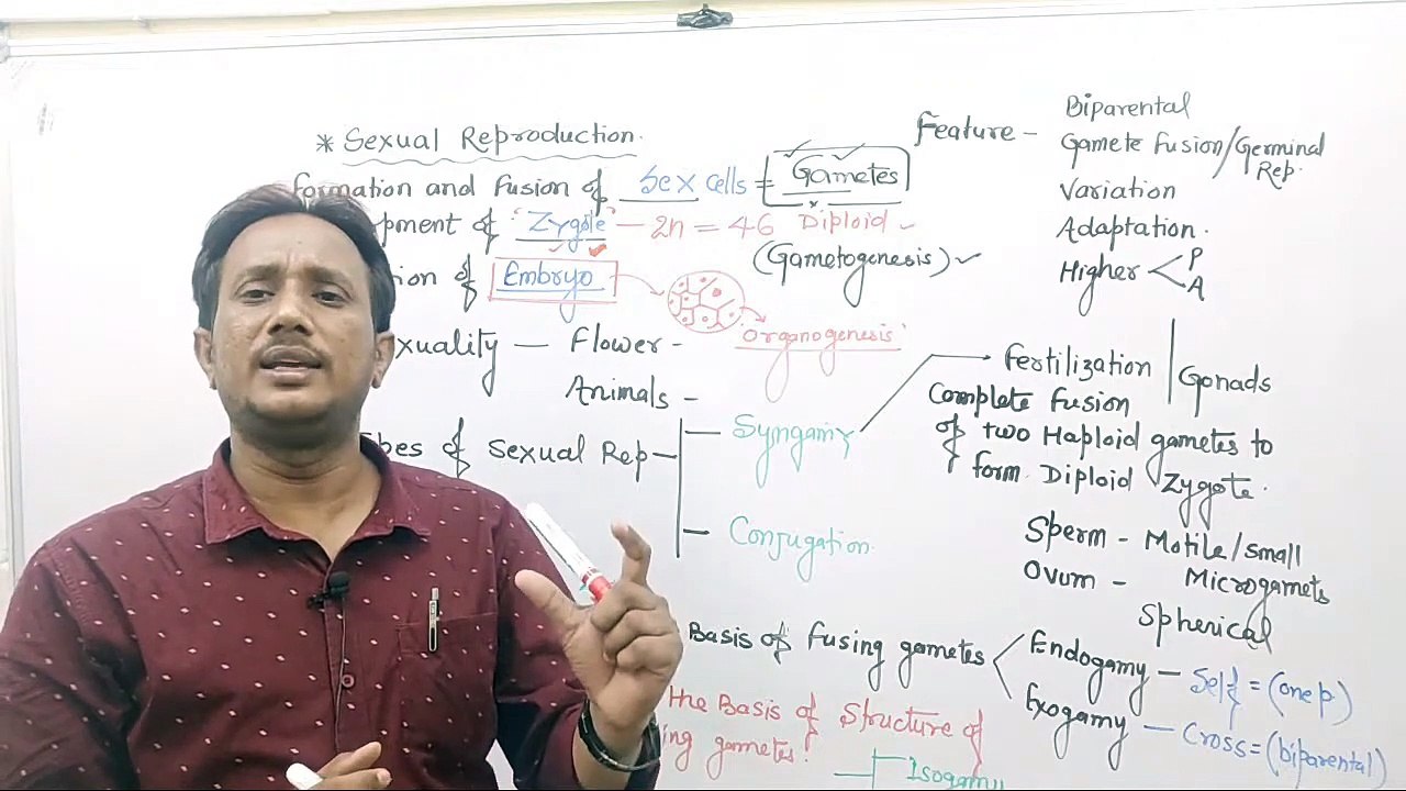 CBSE12 Biology,Events Of Sexual Reproduction,by-Ravindra Sir,ms patel e learning_HD