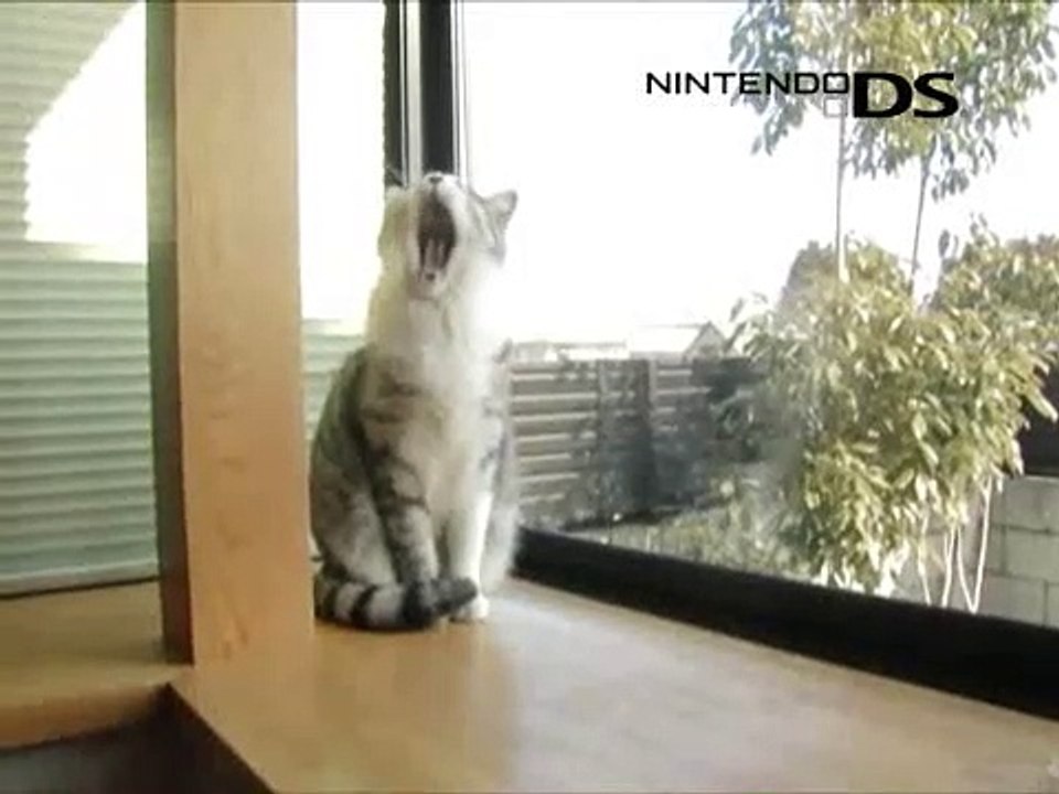 Yume Neko DS comercial