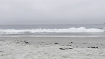 Carmel Beach | Carmel CA