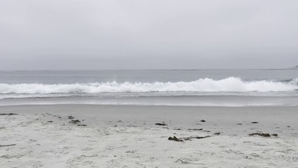 Carmel Beach | Carmel CA