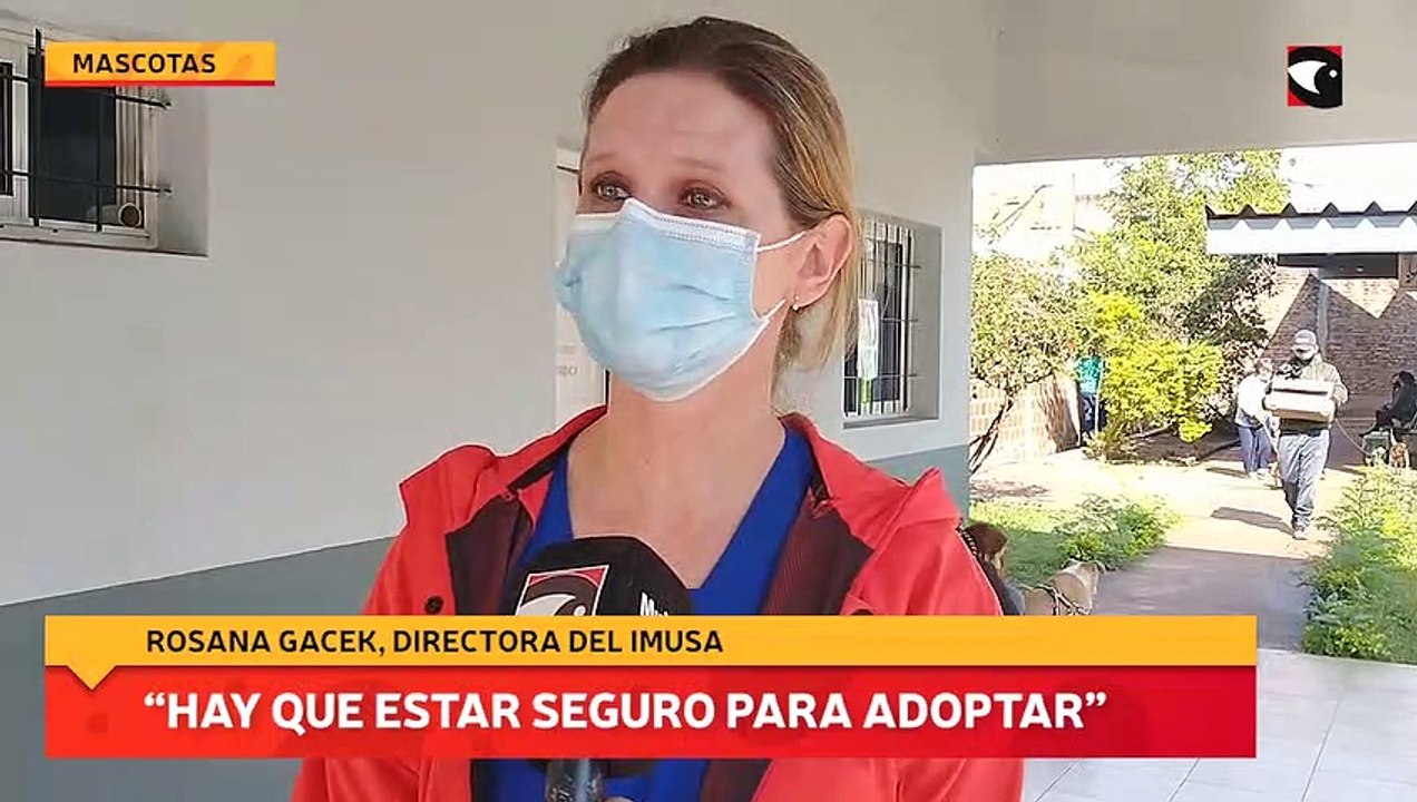 “Hay que estar seguro para adoptar”