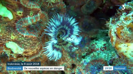 Industrie : la panne de semi-conducteurs met l'automobile à l'arrêt