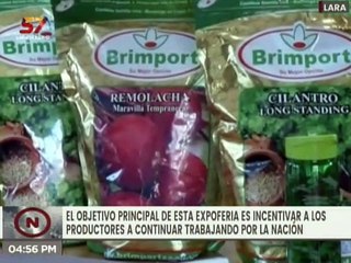 Download Video: Entérate l Expo Feria Agrícola beneficia a productores de Valle de Quíbor en Lara