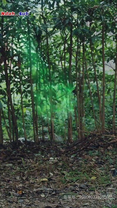 EP.05 The Story of Liu Longting (INDO SUB)