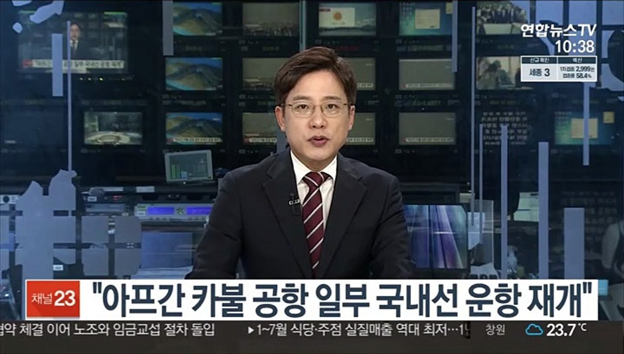 "아프간 카불 공항 일부 국내선 운항 재개"