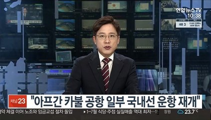 "아프간 카불 공항 일부 국내선 운항 재개"