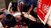 Giant Boal Fish Cutting Live In Fish Market | Boal Fish Cutting Skills. Live In Fish Market 2021.