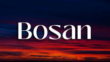 Bosan - Meriam Bellina (Cover by Adit Lyric)