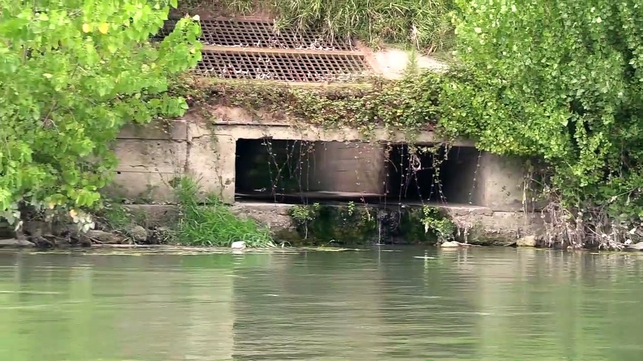 Viaggio sul Tevere tra moria dei pesci, rifiuti e insediamenti abusivi