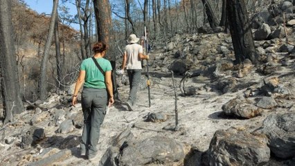 Yanan ‘özel bölgeler’ için ekolojik kurtarma operasyonu