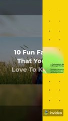 10 Fun Facts That You will love to know