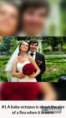 10 Fun Facts That You Will Love to Know