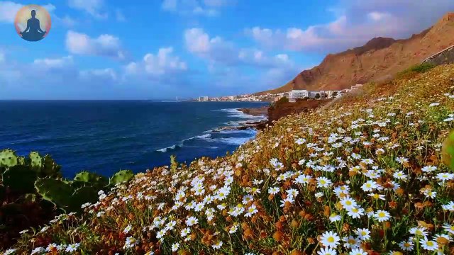 nature meditation music,Sleep Music Delta Waves: Relaxing Music to Help you Sleep, Deep Sleep, Inner Peace