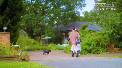 もふもふモフモフ　ねこの楽園　ミニ（３）「お仕事編」