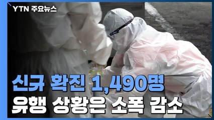 코로나19 확진 1,490명...유행 상황은 소폭 감소 / YTN