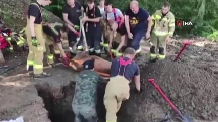 Çukura düşen geyiği itfaiye kurtardı