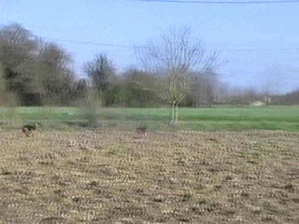 chasse