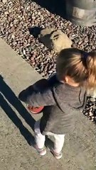 Daddy Becomes Pack Horse During Walk With Daughter